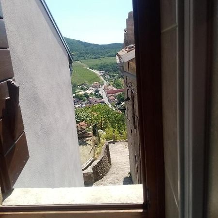 Rooms Serafin-Lavanda Motovun Kültér fotó