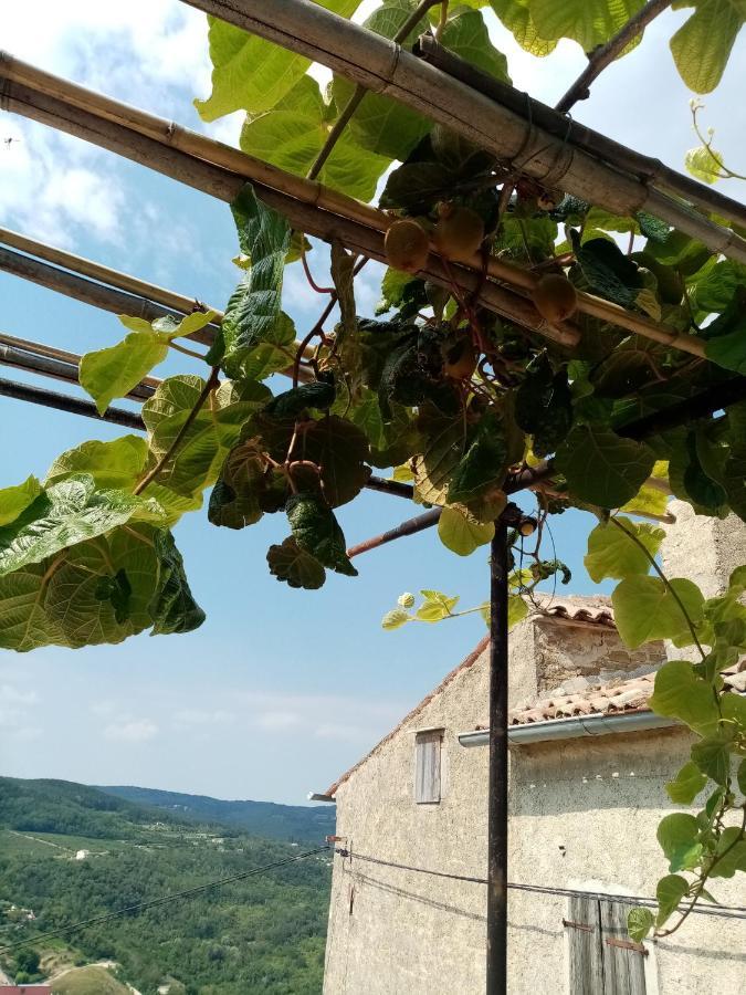 Rooms Serafin-Lavanda Motovun Kültér fotó