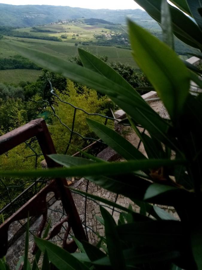 Rooms Serafin-Lavanda Motovun Kültér fotó